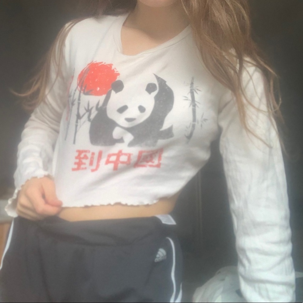Urban Outfitters panda cropped long sleeve shirt